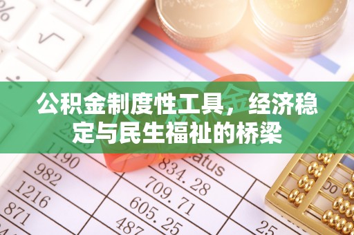 鸡东公积金制度性工具，经济稳定与民生福祉的桥梁