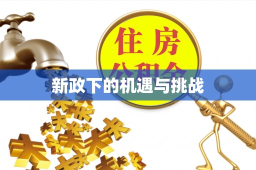鸡东新政下的机遇与挑战
