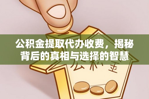 鸡东公积金提取代办收费，揭秘背后的真相与选择的智慧
