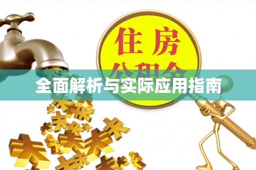 鸡东全面解析与实际应用指南