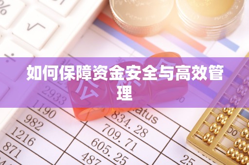 鸡东如何保障资金安全与高效管理