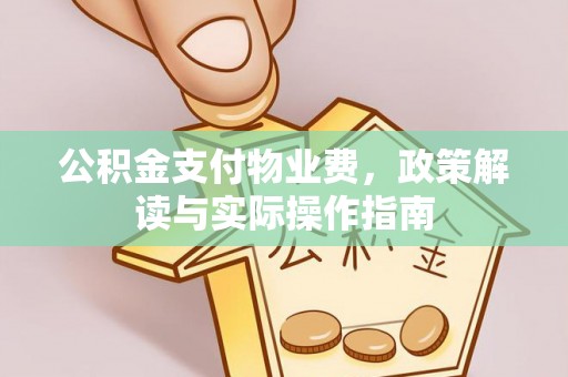 鸡东公积金支付物业费，政策解读与实际操作指南
