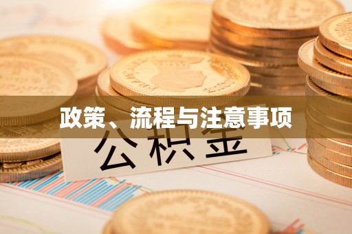 鸡东政策、流程与注意事项