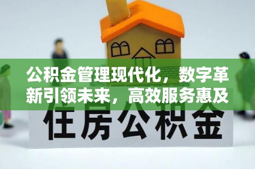 鸡东公积金管理现代化，数字革新引领未来，高效服务惠及民生
