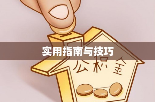 鸡东实用指南与技巧