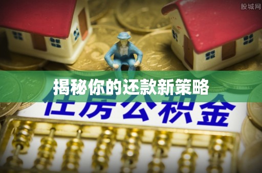 鸡东揭秘你的还款新策略