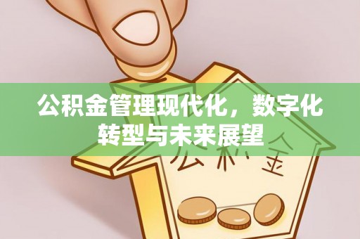 鸡东公积金管理现代化，数字化转型与未来展望