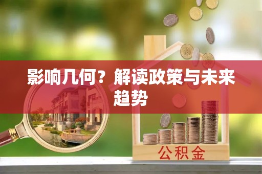鸡东影响几何？解读政策与未来趋势