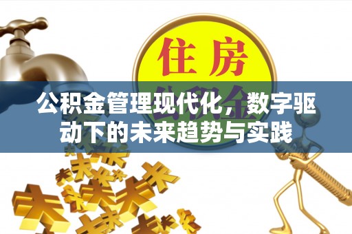 鸡东公积金管理现代化，数字驱动下的未来趋势与实践