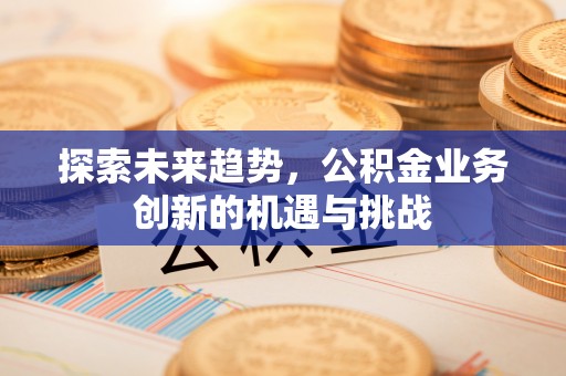 鸡东探索未来趋势，公积金业务创新的机遇与挑战