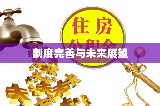 鸡东制度完善与未来展望