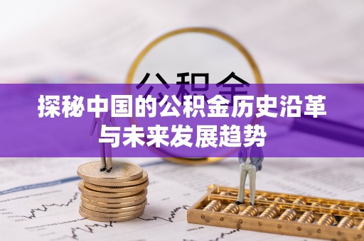 鸡东探秘中国的公积金历史沿革与未来发展趋势