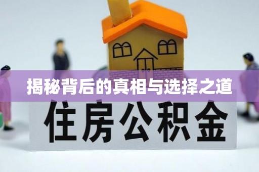 鸡东揭秘背后的真相与选择之道