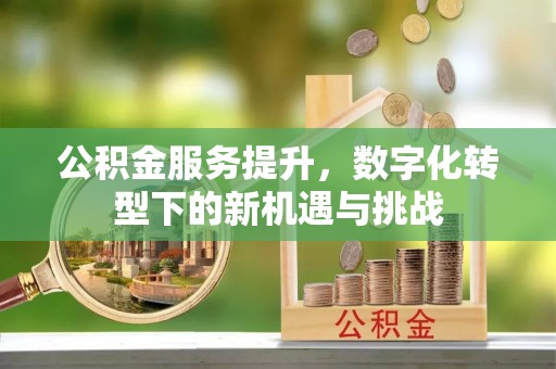 鸡东公积金服务提升，数字化转型下的新机遇与挑战