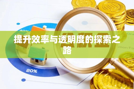 鸡东提升效率与透明度的探索之路