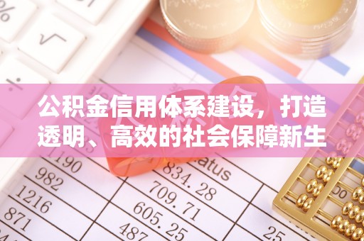 鸡东公积金信用体系建设，打造透明、高效的社会保障新生态