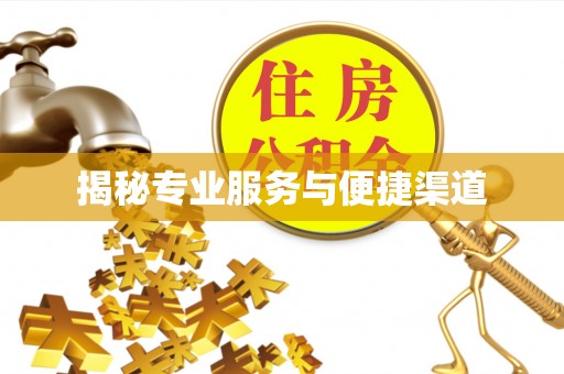 鸡东揭秘专业服务与便捷渠道
