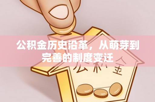 鸡东公积金历史沿革，从萌芽到完善的制度变迁