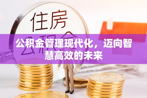 鸡东公积金管理现代化，迈向智慧高效的未来