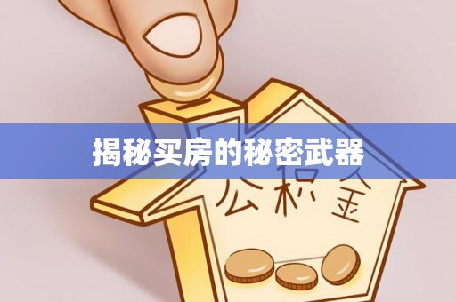 鸡东揭秘买房的秘密武器