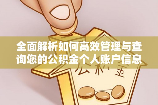 鸡东全面解析如何高效管理与查询您的公积金个人账户信息