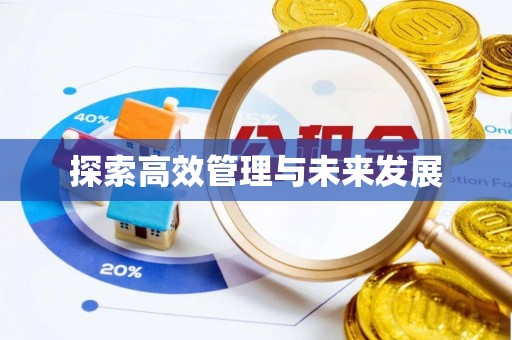 鸡东探索高效管理与未来发展