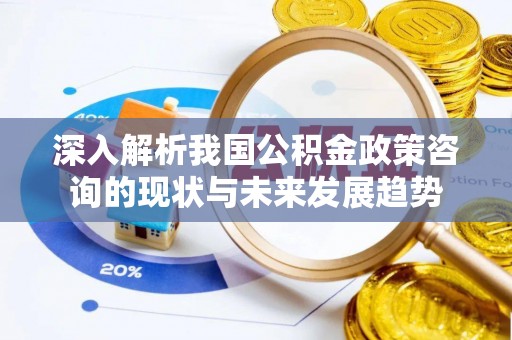 鸡东深入解析我国公积金政策咨询的现状与未来发展趋势