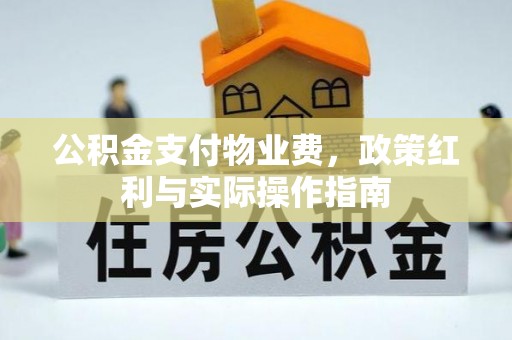 鸡东公积金支付物业费，政策红利与实际操作指南