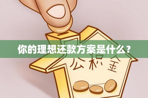 鸡东你的理想还款方案是什么？