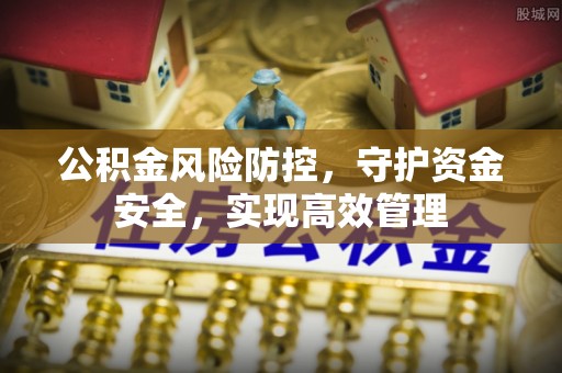 鸡东公积金风险防控，守护资金安全，实现高效管理