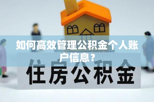 鸡东如何高效管理公积金个人账户信息？
