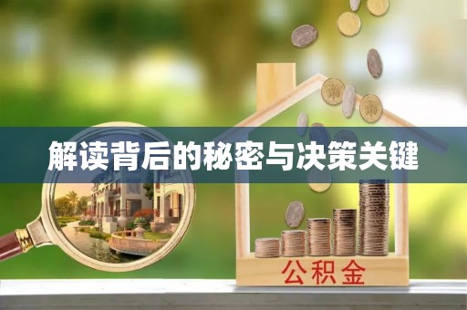 鸡东解读背后的秘密与决策关键