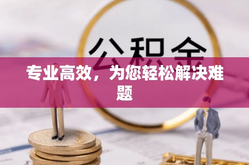 鸡东专业高效，为您轻松解决难题