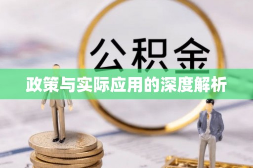 鸡东政策与实际应用的深度解析