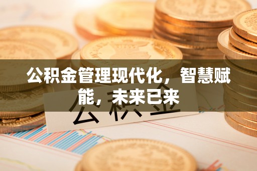 鸡东公积金管理现代化，智慧赋能，未来已来