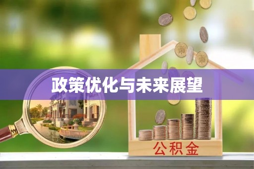 鸡东政策优化与未来展望