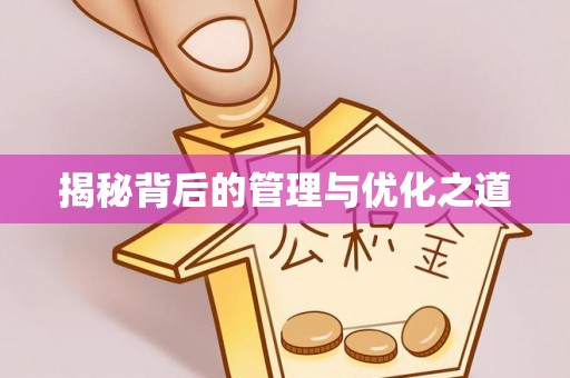 鸡东揭秘背后的管理与优化之道