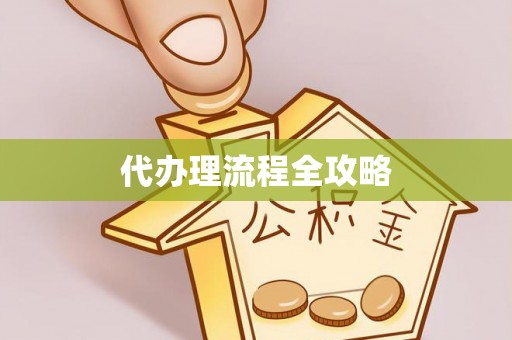 鸡东代办理流程全攻略