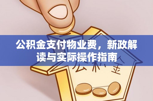 鸡东公积金支付物业费，新政解读与实际操作指南