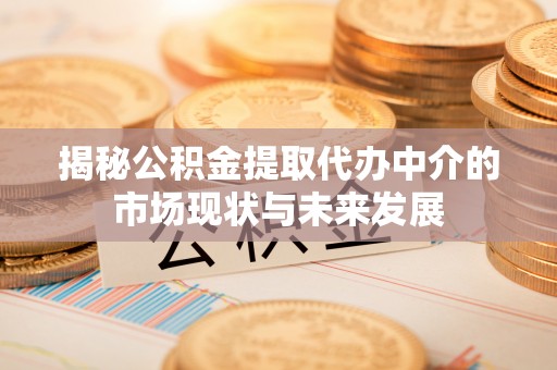 鸡东揭秘公积金提取代办中介的市场现状与未来发展