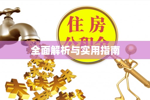 鸡东全面解析与实用指南