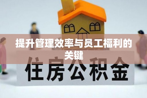 鸡东提升管理效率与员工福利的关键