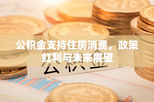 鸡东公积金支持住房消费，政策红利与未来展望