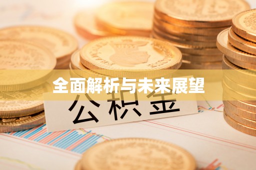 鸡东全面解析与未来展望