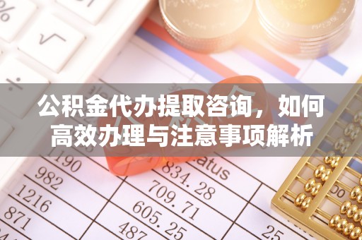 鸡东公积金代办提取咨询，如何高效办理与注意事项解析