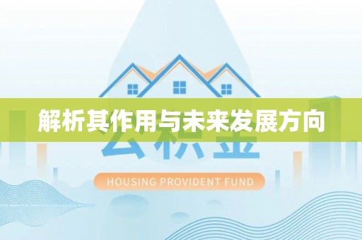鸡东解析其作用与未来发展方向