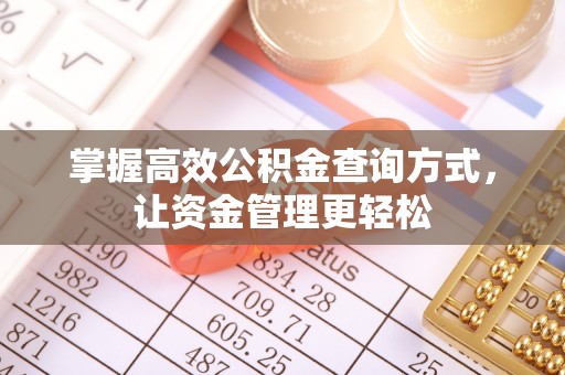 鸡东掌握高效公积金查询方式，让资金管理更轻松