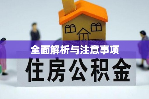 鸡东全面解析与注意事项