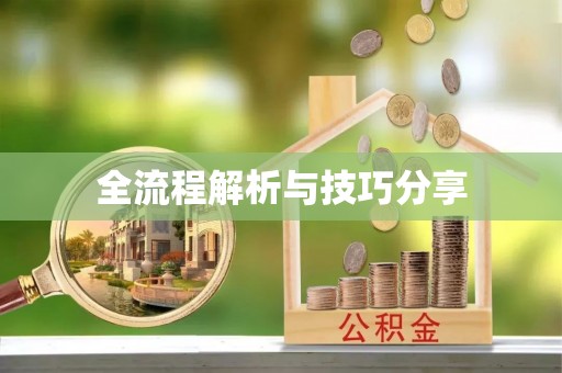 鸡东全流程解析与技巧分享