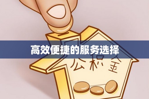 鸡东高效便捷的服务选择